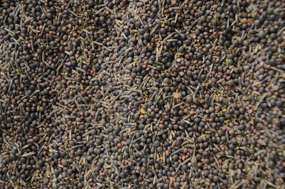 TerraLife® - BetaSola-3