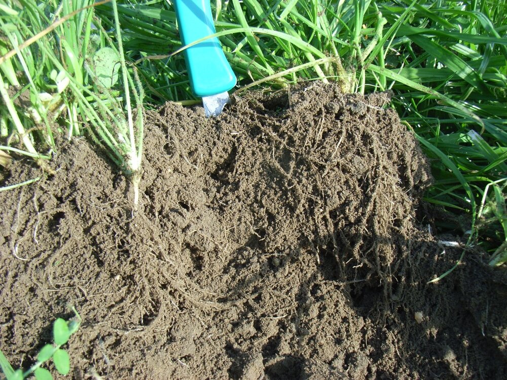 TerraLife® - Landsberger Gemenge-2