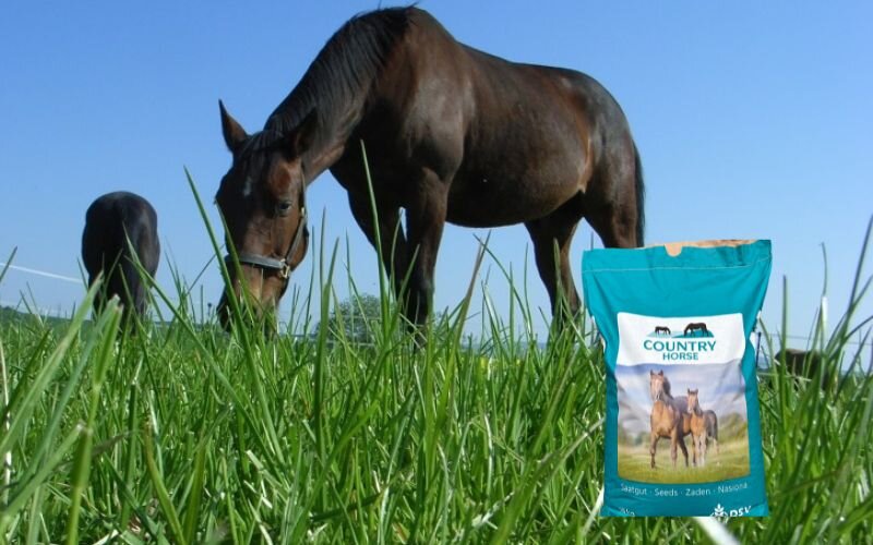 COUNTRY Horse Low Fructane Mix-3
