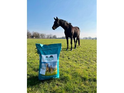 COUNTRY Horse Grass Balance-0