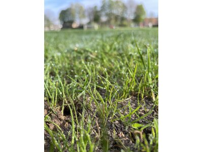 Eurograss TetraTop 100-0