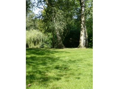 Eurograss Silhouette-6
