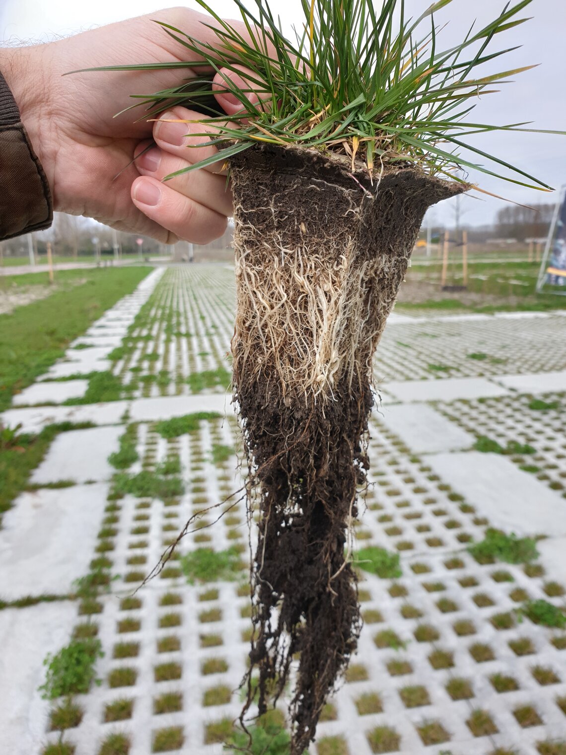 Eurograss MaaiMinder-2