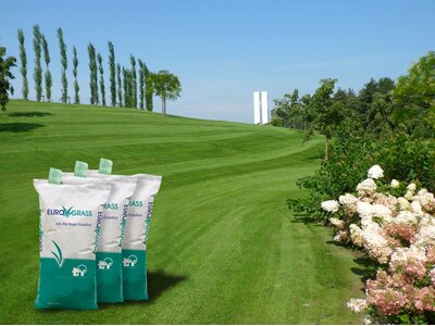 Eurograss Solario-0