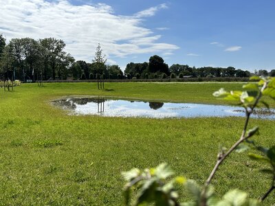 EUROGRASS Campino-1