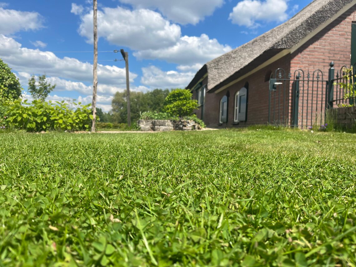 Eurograss Trifolino-1