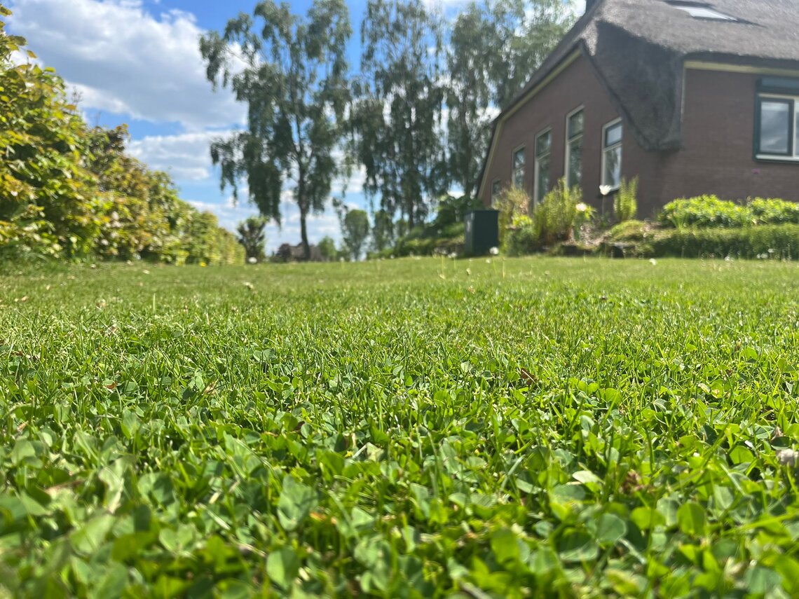 Eurograss Trifolino-3