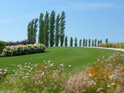 Eurograss Solario-1