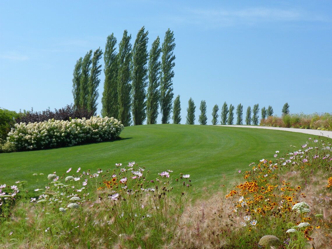Eurograss Solario-1