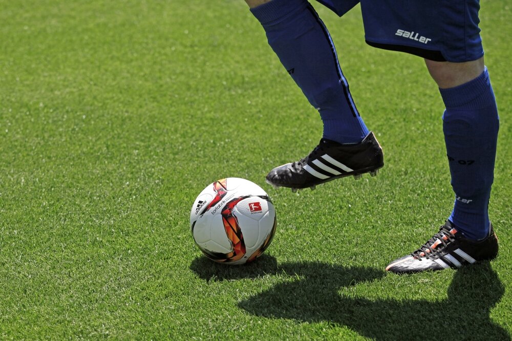 Eurograss SV7 Maxima-1