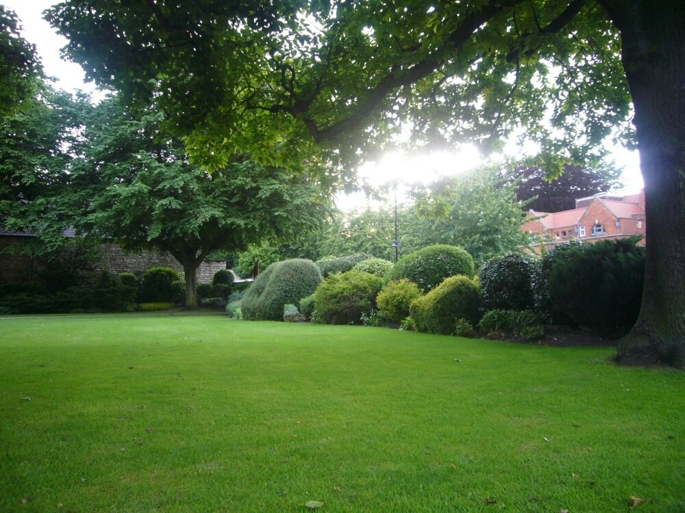 Eurograss Silhouette-1