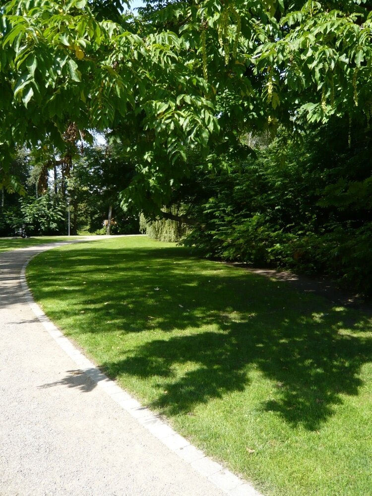 Eurograss Silhouette-4