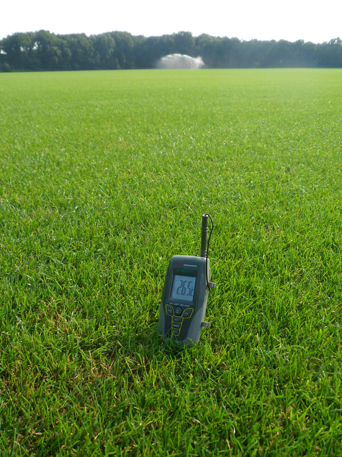 EUROGRASS Graszoden-mengsel-3