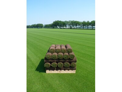 EUROGRASS Graszoden-mengsel-0
