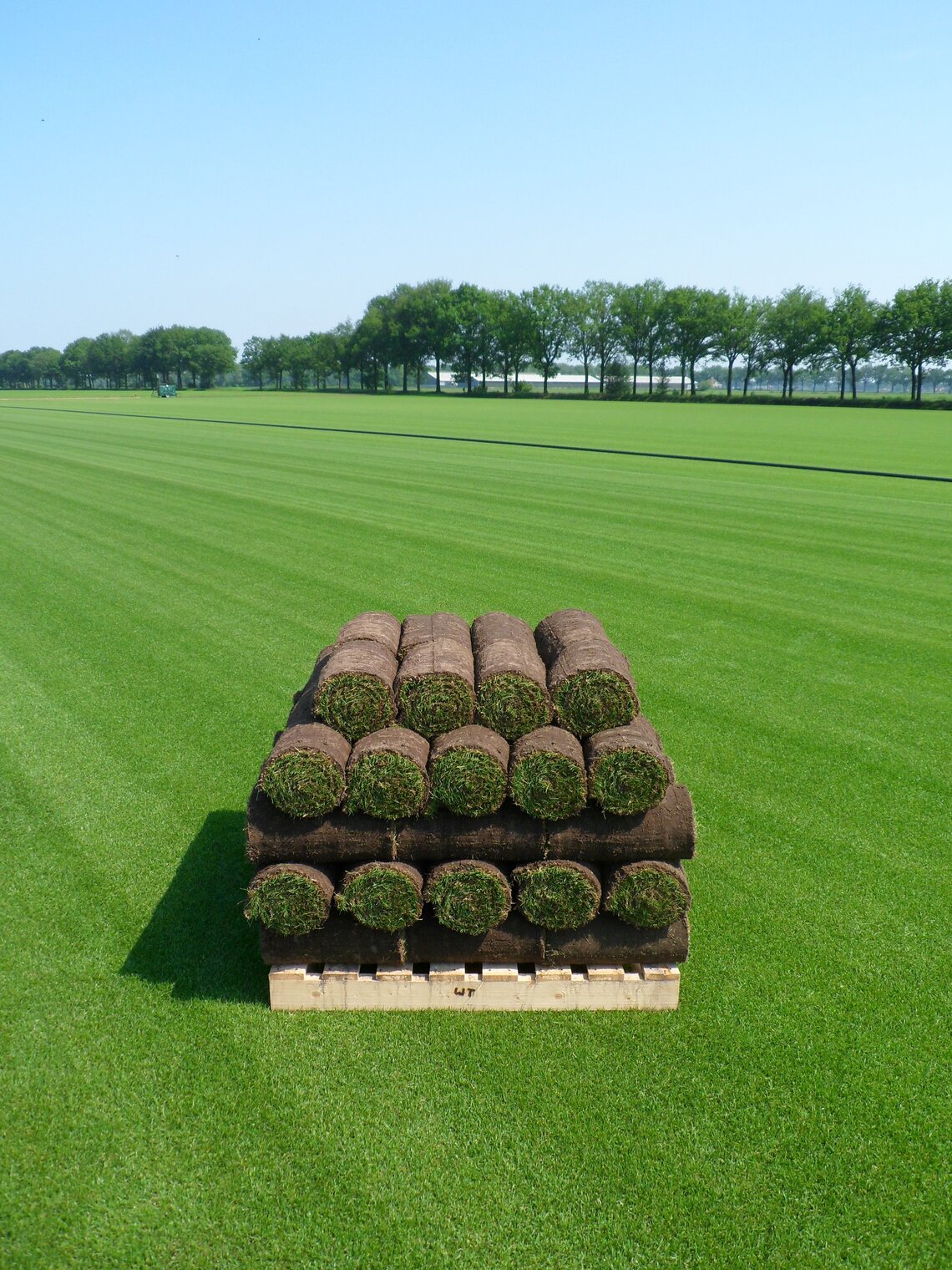 EUROGRASS Graszoden-mengsel-0